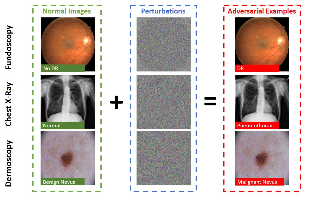 drop the adversarial-medical-image diagram here